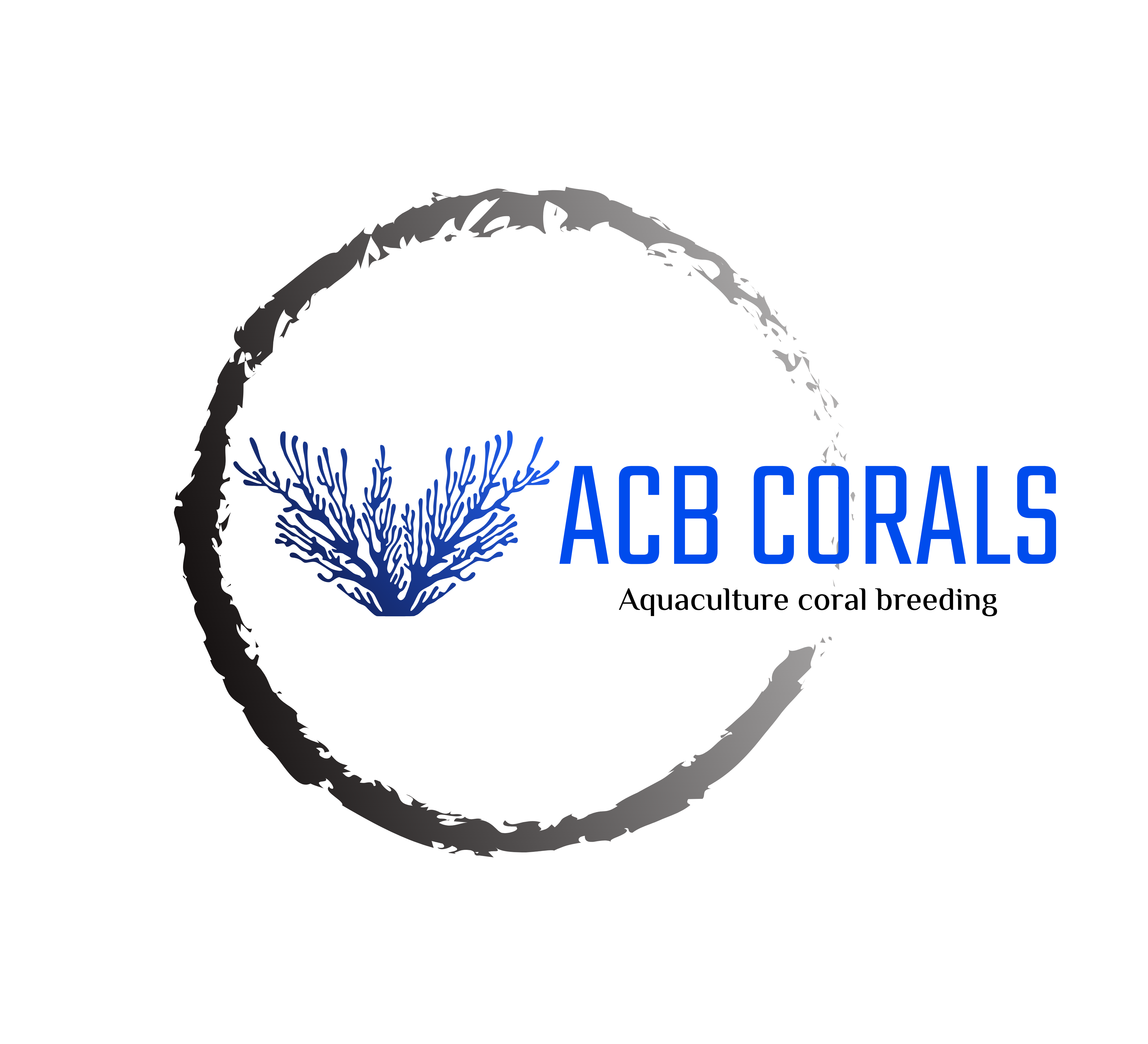 ACB Corals. 